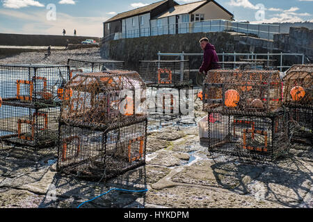 Pêcheur de réparer leurs casiers à homard sur le mur du port à Lyme Regis Banque D'Images