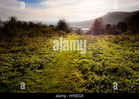 Carnmoney Hill, Newtownabbey, comté d'Antrim, en Irlande du Nord Banque D'Images