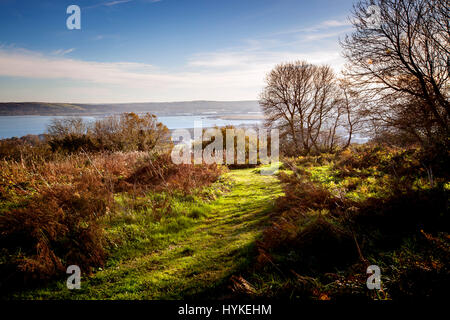 Carnmoney Hill, Newtownabbey, comté d'Antrim, en Irlande du Nord Banque D'Images