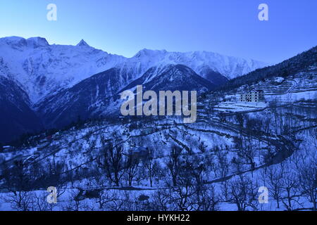 Paysage d'hiver, Kalpa, Kinnaur, Himachal Pradesh, Inde Banque D'Images