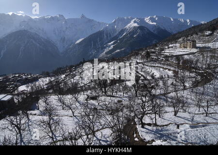 Paysage d'hiver, Kalpa, Kinnaur, Himachal Pradesh, Inde Banque D'Images