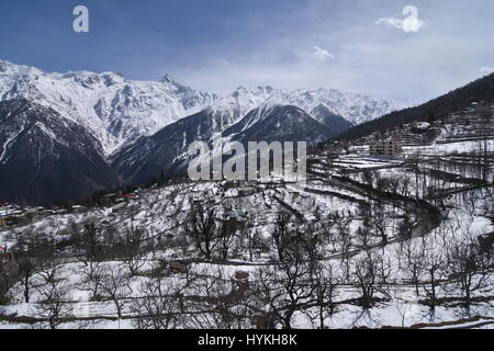 Paysage d'hiver, Kalpa, Kinnaur, Himachal Pradesh, Inde Banque D'Images