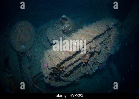 Photos sous-marines spectaculaires ont révélé les 600 pieds de long reste d'un paquebot de luxe américaine - tourné à bord de nous, qui a été coulé par des mines dans WW2. Les superbes clichés montrent la grande 13 000 tonne naufrage du SS President Coolidge au fond du Pacifique, mais les plongeurs intrépides ont surmonté les dangers de la mer profonde plongée d'épaves en s'aventurant à l'intérieur de la carcasse. Certains de l'intérieur luxueux est encore visible sous des couches de limon énorme alors que d'énormes obus ont été tirés de l'épave comme bien comme de simples objets usuels, y compris des bouteilles et pots laissé intact depuis qu'elle a coulé au large de Espiritu Santo Banque D'Images