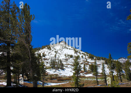 Une collection de certains des plus merveilleux paysages captivants et qui peuvent être trouvés dans la vallée de Yosemite National Park en Californie. Banque D'Images