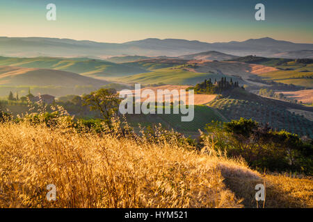 Le paysage pittoresque de la Toscane avec ses collines et champs de culture dans la lumière du matin d'or, Val d'Orcia, Italie Banque D'Images