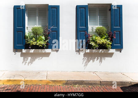 Deux fenêtres colorées avec les jardinières plantées dans les rues de Charleston, en Caroline du Sud. Banque D'Images