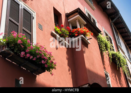 Fenêtres et des fleurs à Porto Ceresio (Varèse, Lombardie, Italie), le long du lac de Lugano (Ceresio) Banque D'Images