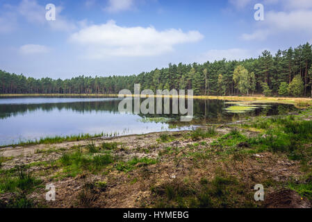 Petit lac à Dziemiany commune, région de Cachoubie en voïvodie en Pologne Banque D'Images