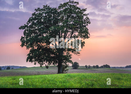 Coucher de soleil sur les champs à proximité de Szymbark, village du comté de Kartuzy, région de Cachoubie en voïvodie en Pologne Banque D'Images