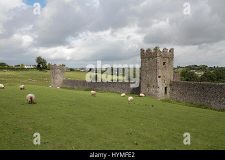 Kells Priory, un prieuré Augustin de Kells, Co Kilkenny, Irlande, (Eire). Banque D'Images