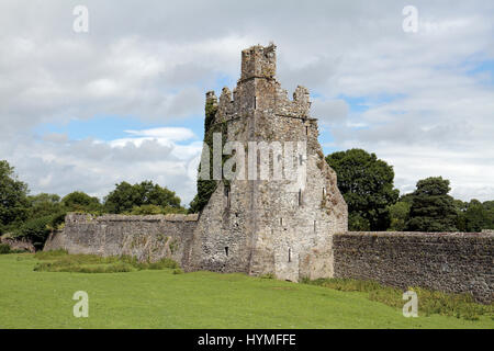 La tour de pierre au sein de la ruine Kells Priory, Kells Priory, un prieuré Augustin de Kells, Co Kilkenny, Irlande, (Eire). Banque D'Images