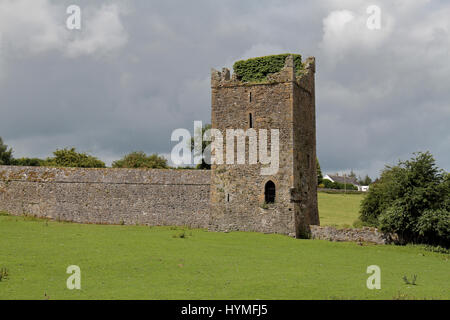 La tour de pierre au sein de la ruine Kells Priory, Kells Priory, un prieuré Augustin de Kells, Co Kilkenny, Irlande, (Eire). Banque D'Images