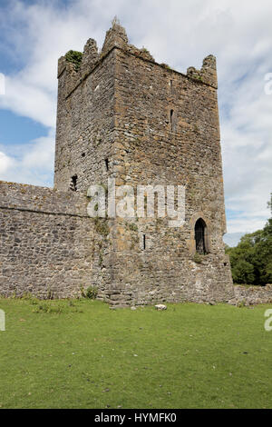 La tour de pierre au sein de la ruine Kells Priory, Kells Priory, un prieuré Augustin de Kells, Co Kilkenny, Irlande, (Eire). Banque D'Images