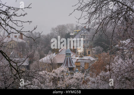 Vue entre les arbres de la colline Gellert dans un matin de décembre enneigé, Budapest Banque D'Images