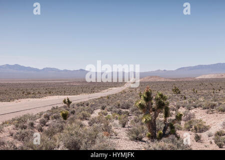 À côté de l'autoroute 375 Joshua trees, l'autoroute de l'extraterrestre, Nevada. Sur la gauche est la chaîne de montagnes qui sépare la voie publique à partir de la s Banque D'Images