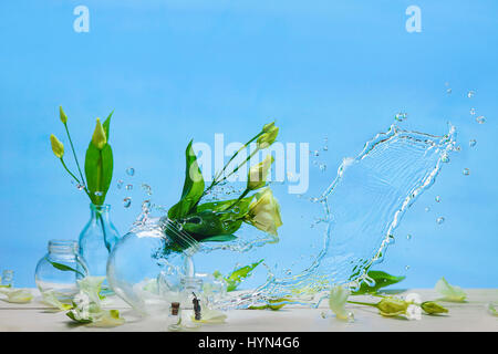 Fleurs de printemps blanc tombe d'un coup de vent avec une éclaboussure d'eau claire Banque D'Images