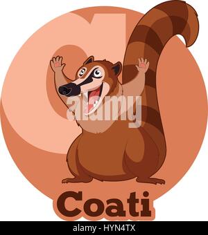 ABC Cartoon Coati Illustration de Vecteur