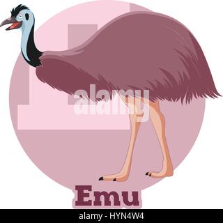 Emu de Cartoon de ABC Illustration de Vecteur