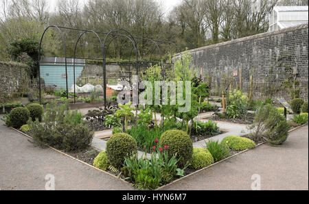 Structure métallique pour soutenir les plantes dans un jardin de fines herbes au début du printemps au Jardin Botanique National du Pays de Galles, Carmarthenshire UK KATHY DEWITT Banque D'Images