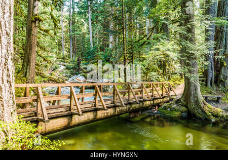 Une passerelle en bois traverse un petit ruisseau à Deception Falls, à Mount Baker Snoqualmie National Forest donnant un sentiment d'harmonie parfaite avec la nature Banque D'Images