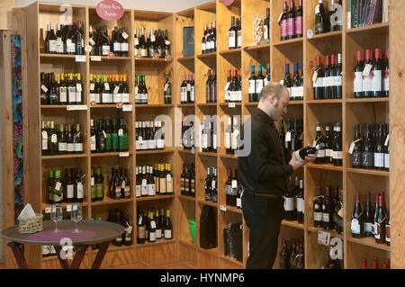 Wine Centre - Ribeira Sacra, Monforte de Lemos, Lugo province, région de la Galice, Espagne, Europe Banque D'Images