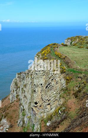 Sentier sur bord de la falaise à Cemaes Head Nature Reserve Pembrokeshire Wales Cymru St Dogmaels UK GO Banque D'Images