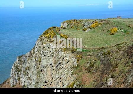 Sentier sur bord de la falaise à Cemaes Head Nature Reserve Pembrokeshire Wales Cymru St Dogmaels UK GO Banque D'Images