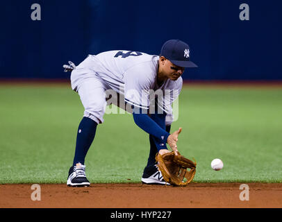 Tropicana Field. Le 05 Avr, 2017. Floride, USA-New York joueur Ronald Torreyes (74) dans le match entre les Yankees et les rayons au Tropicana Field. Del Mecum/CSM/Alamy Live News Banque D'Images