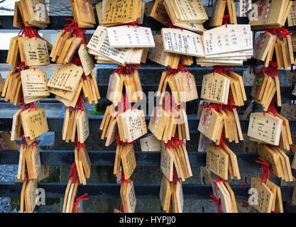 Ema les plaques. Les Japonais écrivent leurs souhaits comme le bonheur sur tablette en bois et l'accrocher sur le support à l'intérieur du temple Banque D'Images