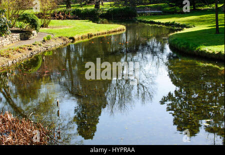 Dublin, Irlande - 15 mars, 2017 : Beau paysage au printemps dans les jardins botaniques nationaux le 15 mars 2017 à Dublin Banque D'Images