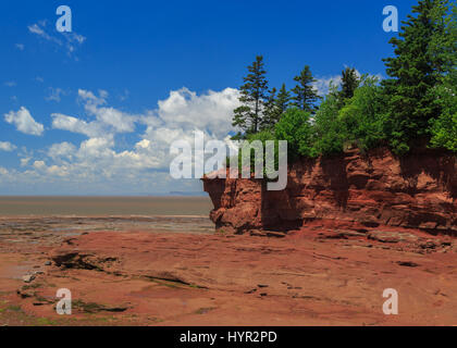 Voir au parc de Burncoat Head, dans la baie de Fundy en Nouvelle-Écosse. Où les plus hautes marées du monde sont signalés. Banque D'Images