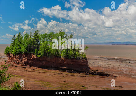 Voir au parc de Burncoat Head, dans la baie de Fundy en Nouvelle-Écosse. Où les plus hautes marées du monde sont signalés. Banque D'Images