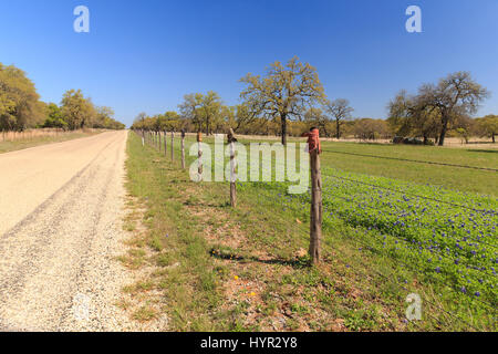 Une clôture en fil barbelé, avec des bottes sur le post, la sépare de la route bluebonnets sur Willow City Loop, Texas. Banque D'Images