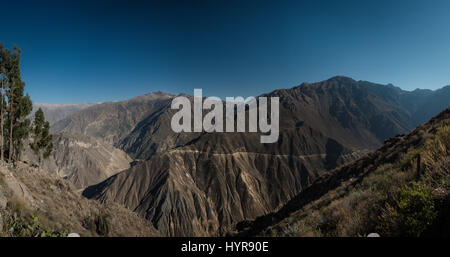 Vue panoramique sur le Canyon de Colca au Pérou, l'un des plus profond canyon du monde. Banque D'Images