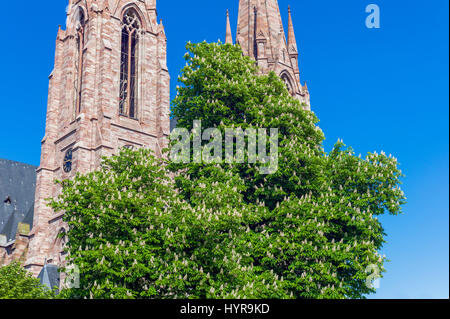 Blossoming chestnut tree et St Paul église protestante au printemps, Strasbourg, Alsace, France, Europe, Banque D'Images