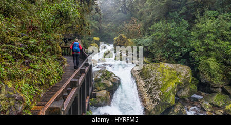 Randonneur sur passerelle en bois le long de la rivière, jusqu'au lac Marian, Fiordland National Park, Te Anau, Southland Southland, Région Banque D'Images