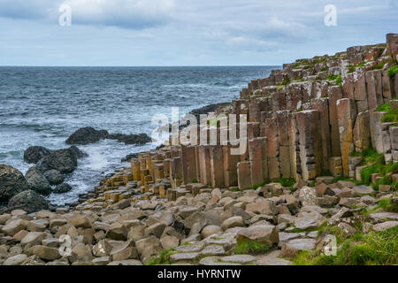 Rock formations un Giant's Causeway, comté d'Antrim, en Irlande du Nord Banque D'Images