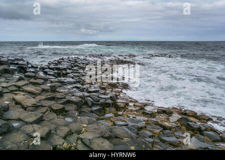 Rock formations un Giant's Causeway, comté d'Antrim, en Irlande du Nord Banque D'Images