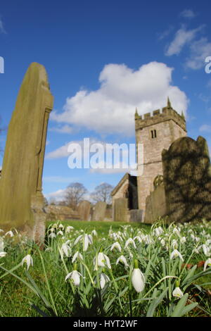 Perce-neige (Galanthus nivalis) dans le cimetière d'un village anglais pittoresque église paroissiale près de Bakewell, parc national de Peak District, Derbyshire, Royaume-Uni Banque D'Images