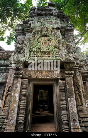 Vue verticale d'un lieu de culte au temple de Ta Prohm au Cambodge. Banque D'Images