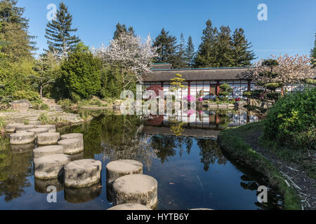 Jardin japonais sur l'île de Versailles à Nantes, France Banque D'Images