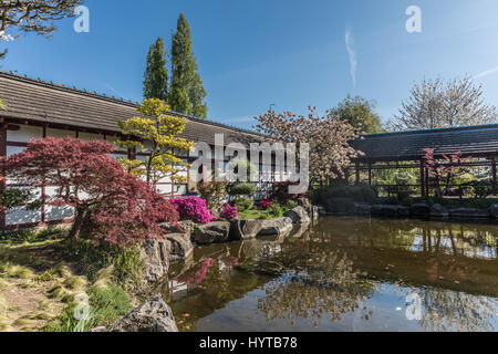 Jardin japonais sur l'île de Versailles à Nantes, France Banque D'Images