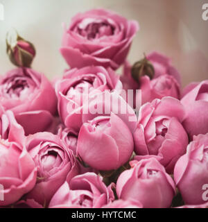 Bouquet de roses rose Banque D'Images