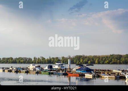 Les bateaux et les navires ancrés sur Zemun Quay sur le Danube à Belgrade, Serbie Photo de bateaux de différentes tailles sur le Danube au coucher du soleil à Zemun, Banque D'Images