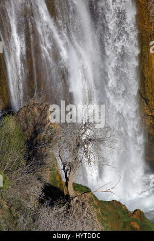 Cascade de Manojlovac au début du printemps, parc national de Krka, Croatie Banque D'Images