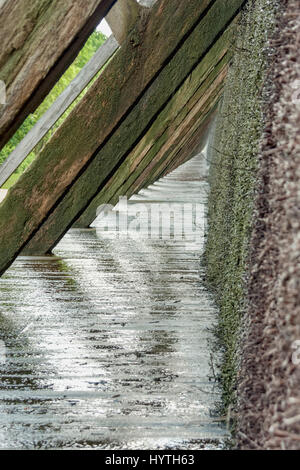 L'eau s'écoule vers le bas prunellier brindilles mur dans l'obtention du diplôme de saumure dans la tour de Sydney, Australia Banque D'Images