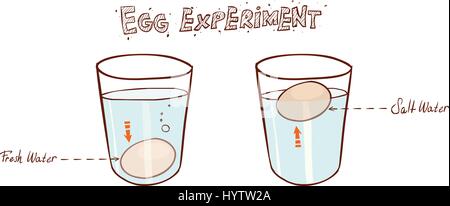 Oeuf flottant dans verre d'eau (puits ou float) test de fraîcheur des oeufs Illustration de Vecteur