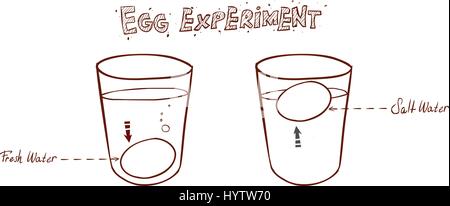 Oeuf flottant dans verre d'eau (puits ou float) test de fraîcheur des oeufs Illustration de Vecteur