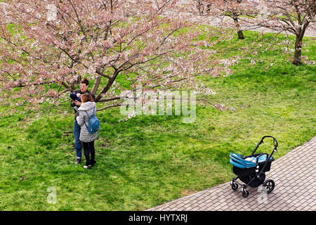 Vilnius, Lituanie - 23 Avril 2016 : les parents avec leur bébé de Sakura ou cerisiers en fleurs fleurs jardin au printemps, Vilnius, Lituanie Banque D'Images