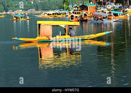 Rêvez un peu de rêve sur le lac Dal, UNE promenade shikara sur le lac Dal, une promenade romantique shikara, (photo Copyright © par Saji Maramon) Banque D'Images